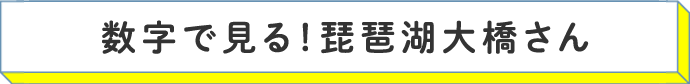 数字で見る！琵琶湖大橋さん